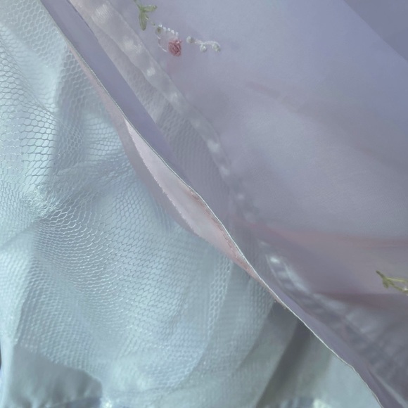 Strasburg Heirloom Collection size 5 dress - Picture 4 of 7